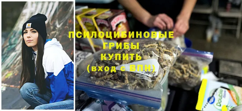 Псилоцибиновые грибы Magic Shrooms  Десногорск 